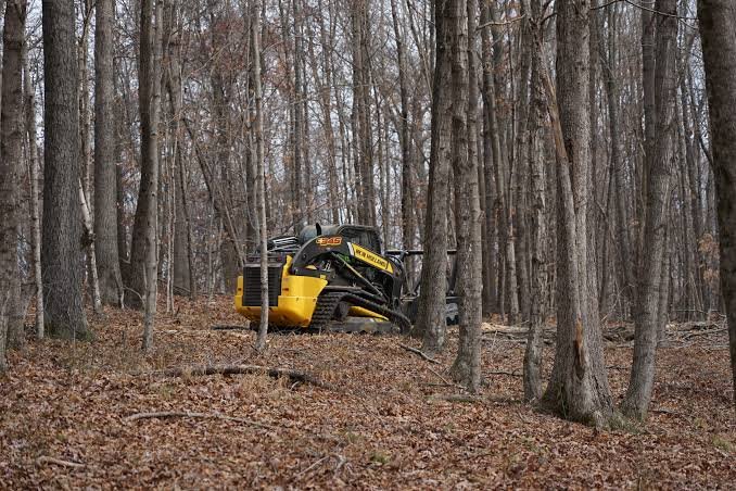 Clearing Land the Smart Way: Why Mulching Beats Traditional Methods