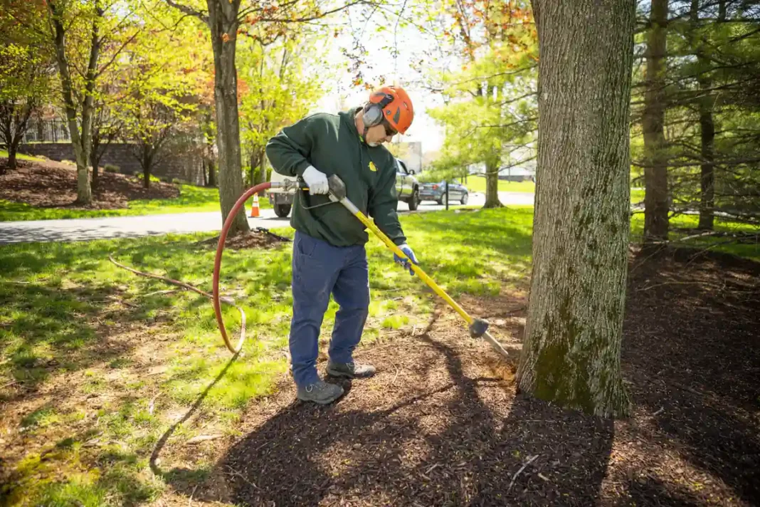Why Air Spading Is the Smartest Way to Protect Your Trees’ Roots